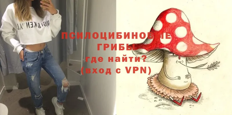 Псилоцибиновые грибы Psilocybe  Верхоянск 